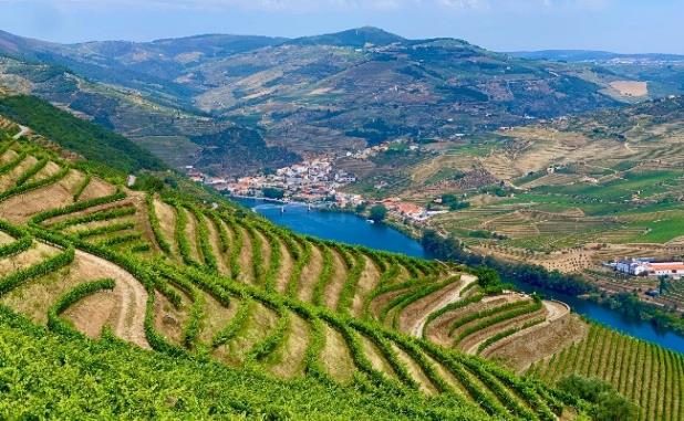 Friday, May 7 – Porto (B) **Douro River Valley with Cruise Optional