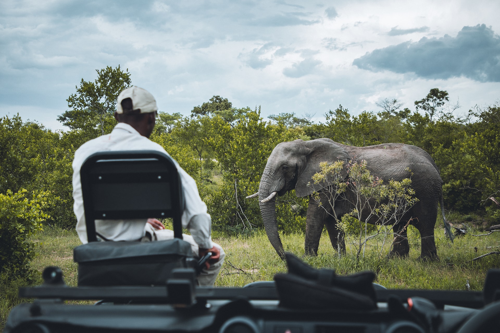 African Safari - Wonders of South Africa and Namibia ~ March 3 - 18, 2027 (16 Days) — photo 3