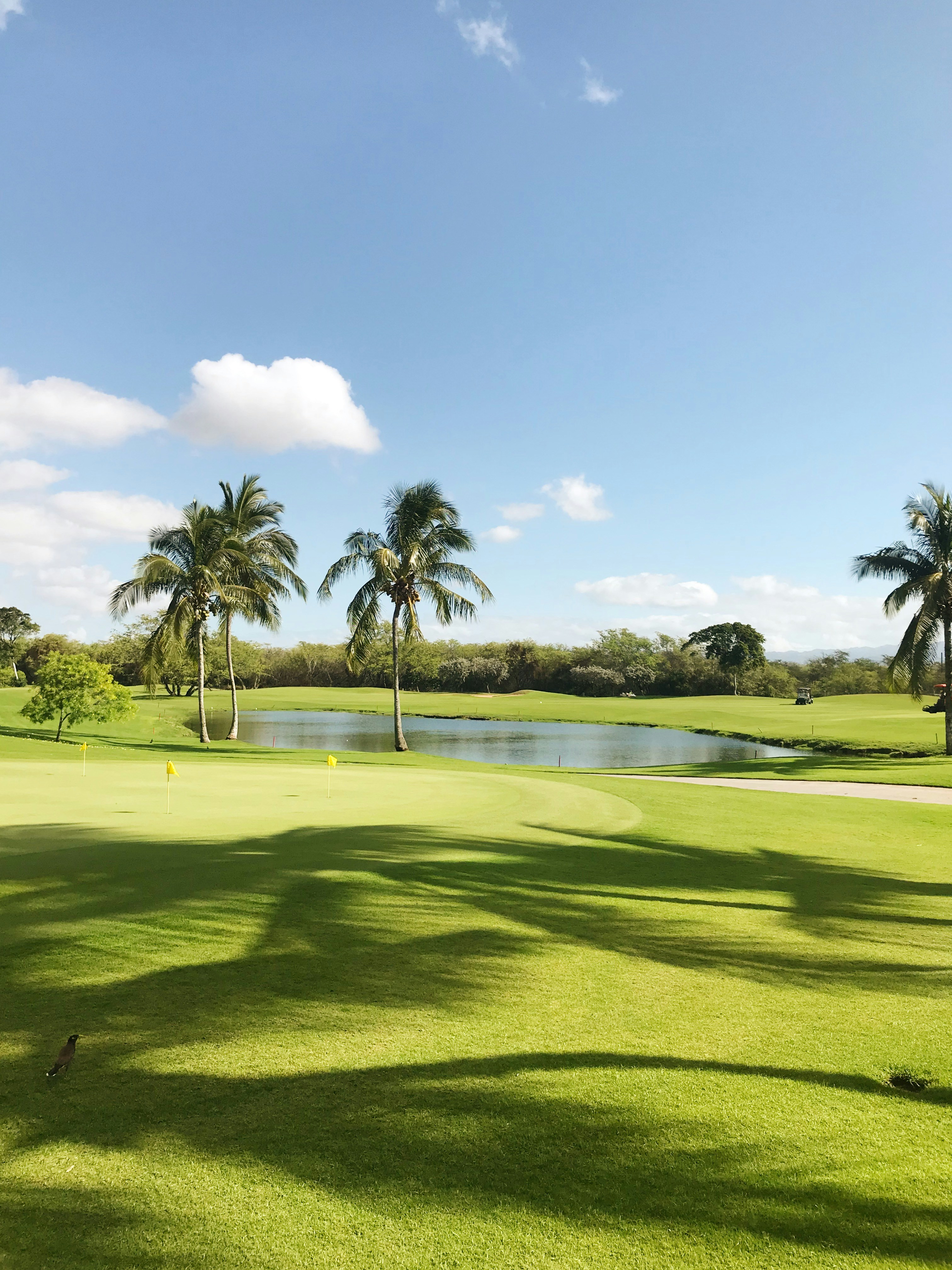 Premium Riverside Punta Cana Snowbirds Golf Package ~ January 29 - February 5, 2027 (8 Days)  — photo 2