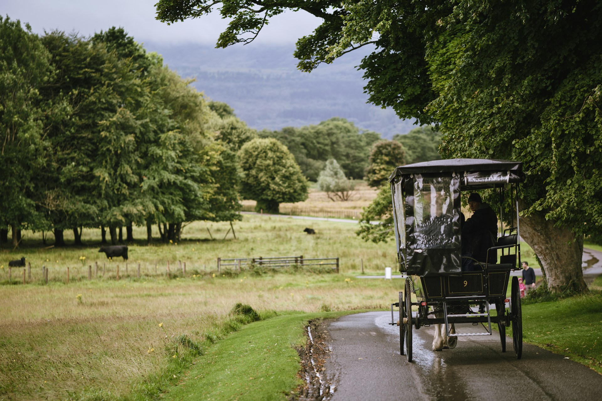 Luxurious Ireland ~ July 13 - 22, 2027 (10 Days) — photo 4