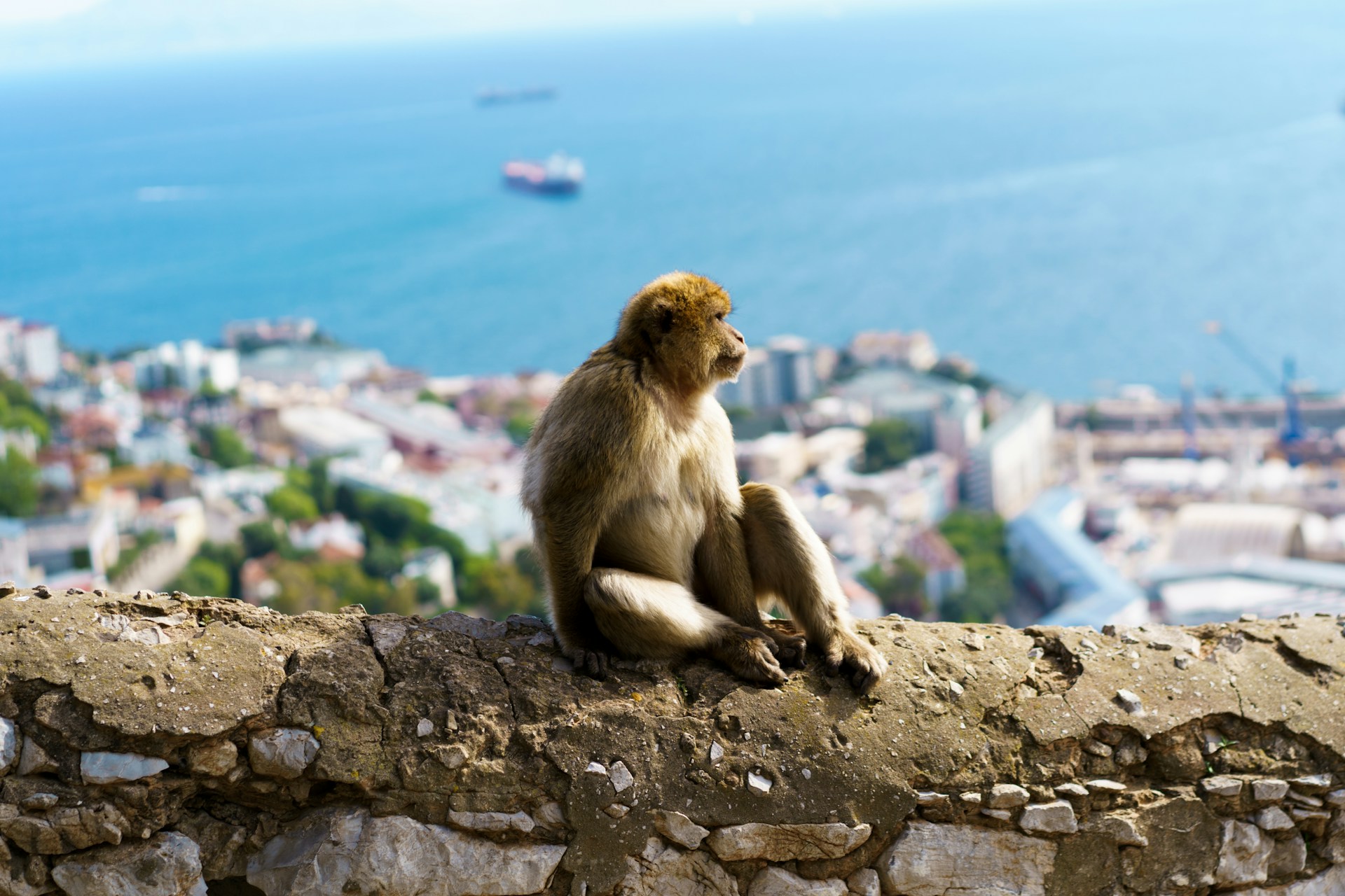 Best of Portugal & Spain Tour ~ October 21 - November 3, 2027 (14 Days) — photo 5